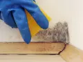 Mano con guanto blu e spugna gialla pulisce la muffa da un angolo. Un passo per togliere odore di muffa dal compensato.