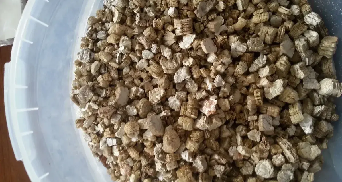 Granuli di vermiculite espansa isolante termico in un secchio bianco. Materiale leggero e poroso, ideale per l'edilizia.