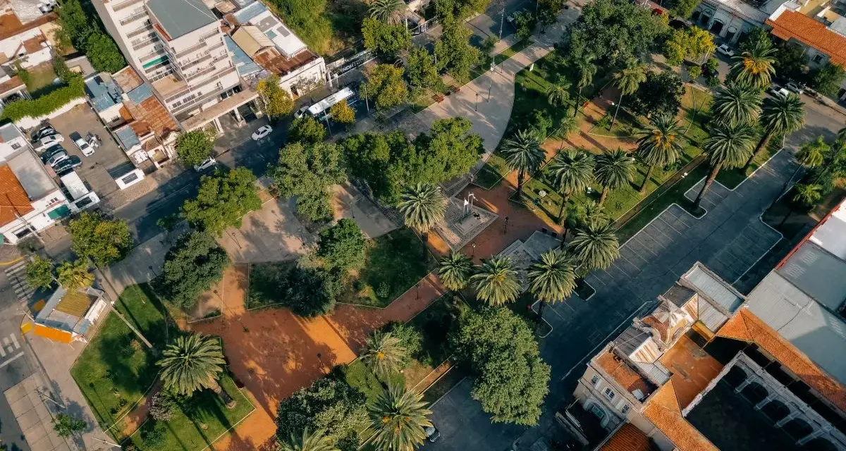 Vista aerea di un parco urbano con palme e alberi, circondato da edifici. Un esempio di come la legge sulla rigenerazione urbana possa trasformare spazi verdi in città.