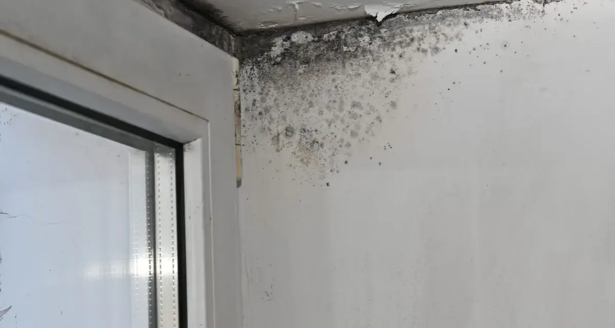 Angolo di una stanza con evidenti danni da infiltrazioni acqua piovana, muffa nera e scrostamenti sul soffitto e sulla parete vicino al serramento.