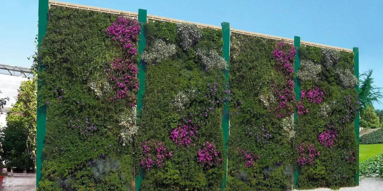 Muro verde fiorito, un'idea per barriere antirumore giardino fai da te. Piante rigogliose e fiori viola creano un'oasi di pace.