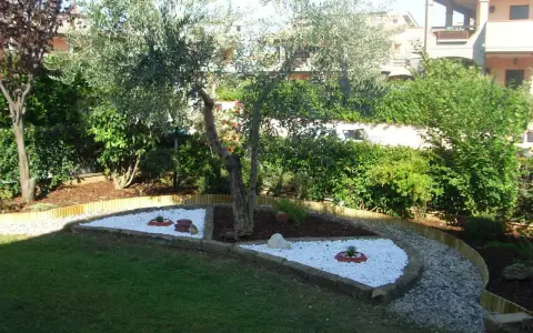 Giardino zen con ulivo e aiuole di sassi bianchi, un'idea per un angolo di pace.