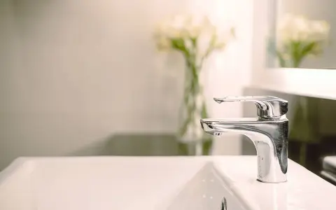 Rubinetto cromato o acciaio lucido su lavandino bianco, con fiori sfocati sullo sfondo.