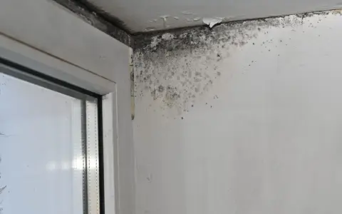 Angolo di una stanza con evidenti danni da infiltrazioni acqua piovana, muffa nera e scrostamenti sul soffitto e sulla parete vicino al serramento.