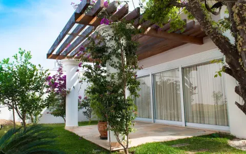 Un pergolato in legno e piante rampicanti per decorare muri esterni giardino.