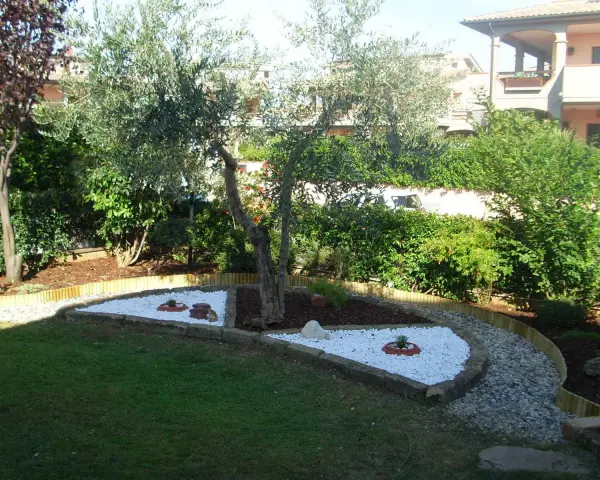 Giardino zen con ulivo e aiuole di sassi bianchi, un'idea per un angolo di pace.