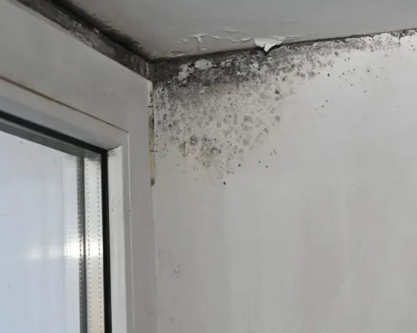 Angolo di una stanza con evidenti macchie da infiltrazione d'acqua e muffa sul muro e sul soffitto vicino a una finestra.