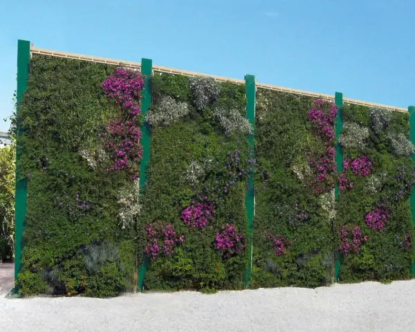 Muro verde fiorito, un'idea per barriere antirumore giardino fai da te. Piante rigogliose e fiori viola creano un'oasi di pace.