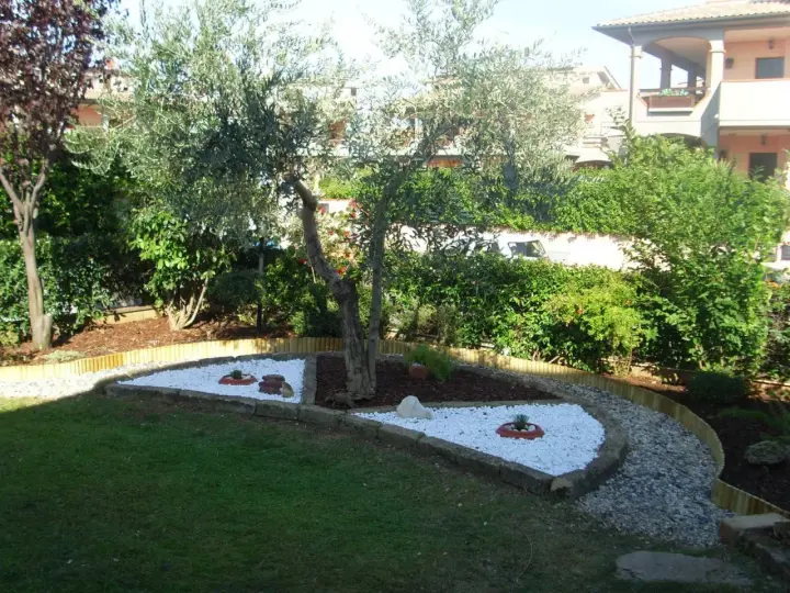 Giardino zen con ulivo e aiuole di sassi bianchi, un'idea per un angolo di pace.