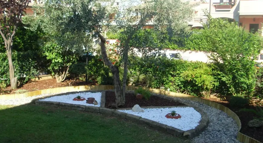 Giardino zen con ulivo e aiuole di sassi bianchi, un'idea per un angolo di pace.