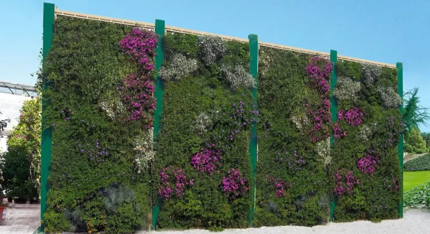 Muro verde fiorito, un'idea per barriere antirumore giardino fai da te. Piante rigogliose e fiori viola creano un'oasi di pace.