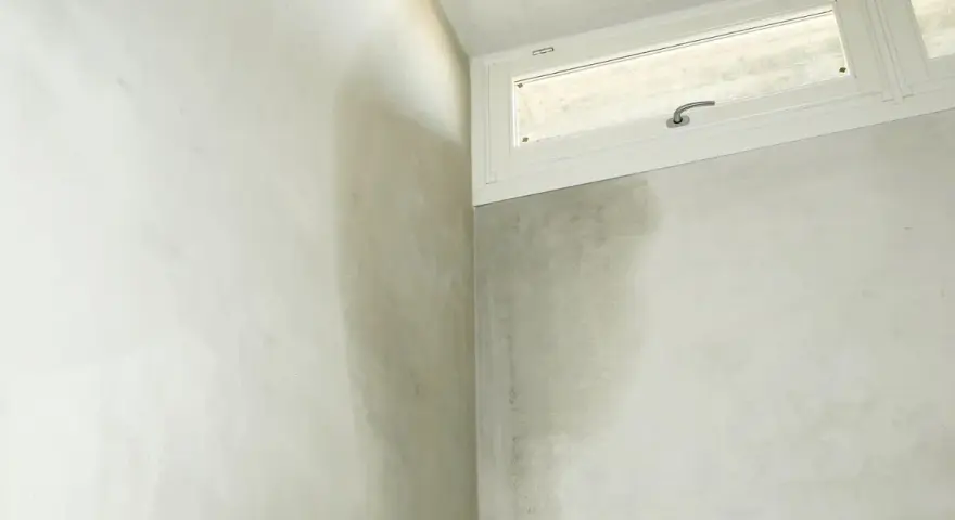 Angoli di un muro perimetrale con evidenti macchie scure dovute a infiltrazioni acqua piovana.