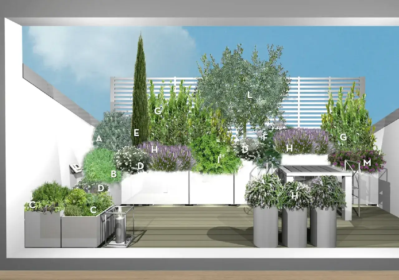 Un terrazzo moderno con diverse piante, tra cui lavanda e un ulivo, ideale per chi cerca idee su come abbellire un terrazzo fai da te.