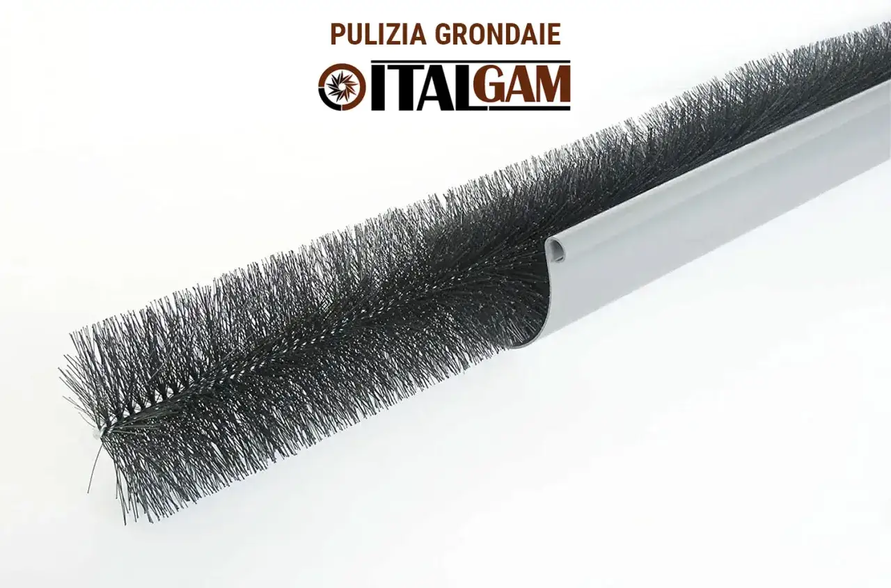Spazzola per grondaie, ideale per pulire le grondaie senza salire sul tetto.